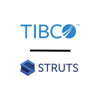 TIBC STRUTS